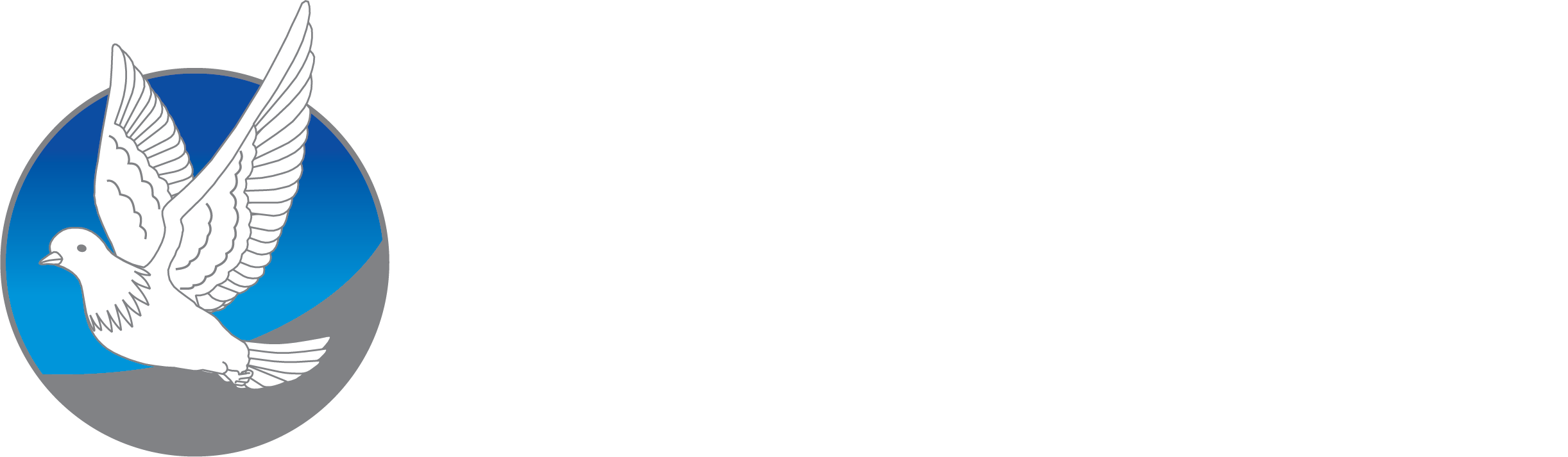 Azad İç ve Dış Ticaret